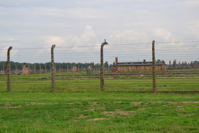 Brzezinka4