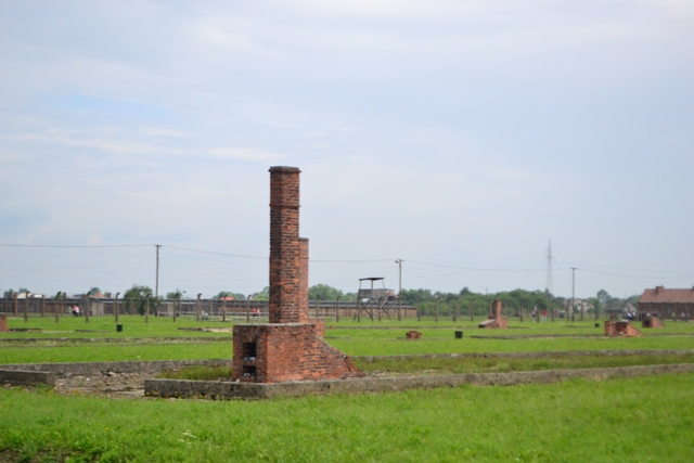 Brzezinka9