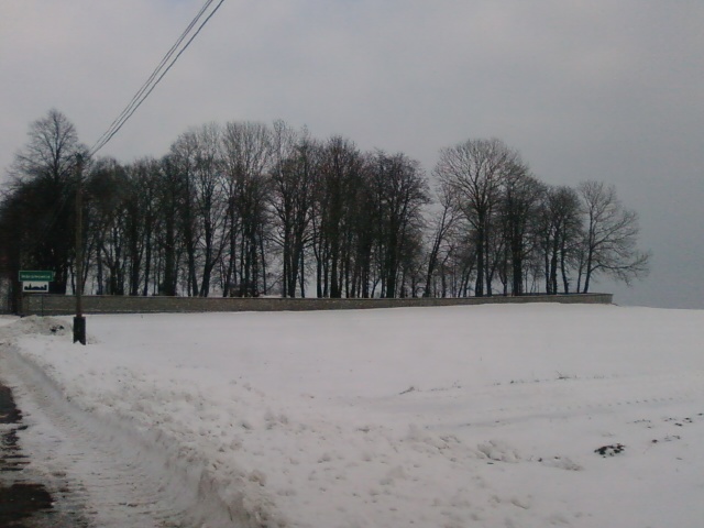 Stary cmentarz...