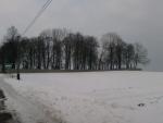 Stary cmentarz...