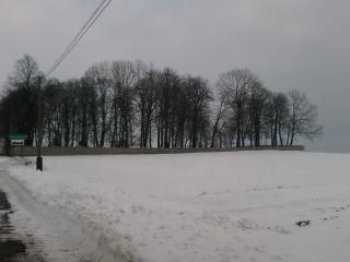 Stary cmentarz...
