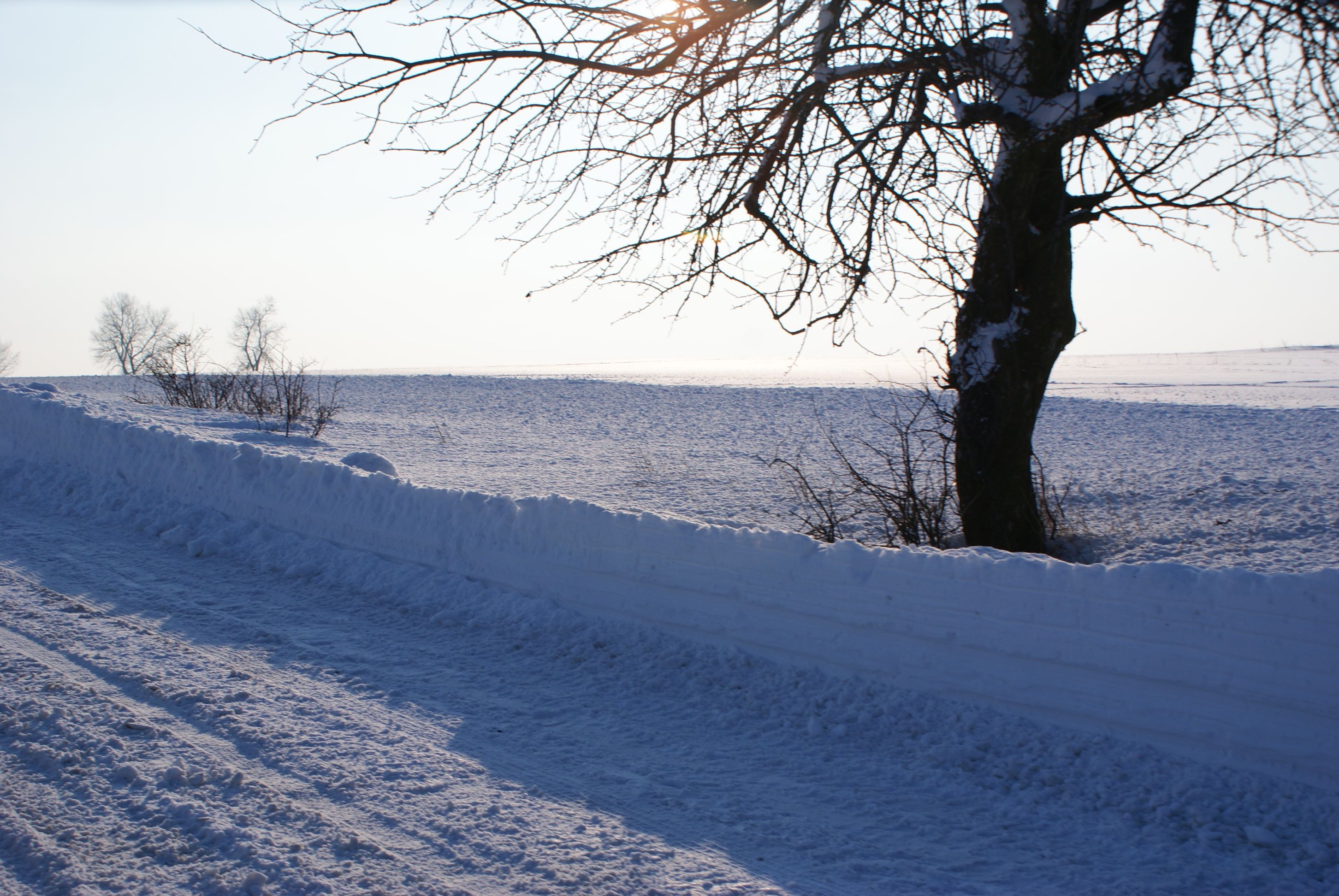 Śniegowe gwiazdy w blasku słońca...