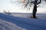 Śniegowe gwiazdy w blasku słońca...