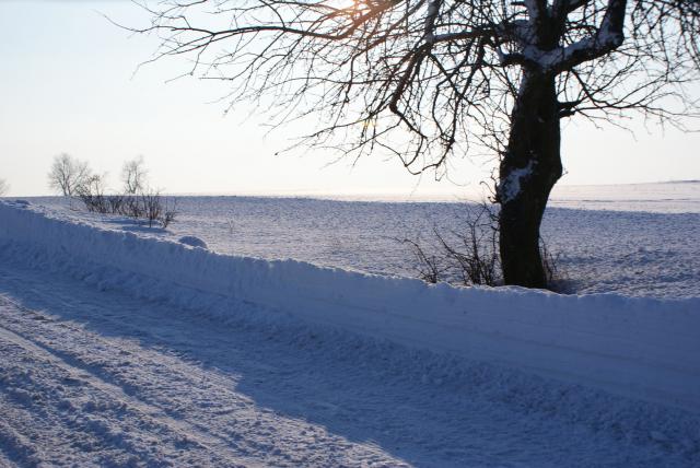 Śniegowe gwiazdy w blasku słońca...