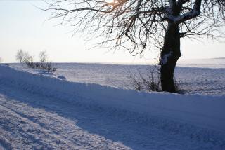 Śniegowe gwiazdy w blasku słońca...
