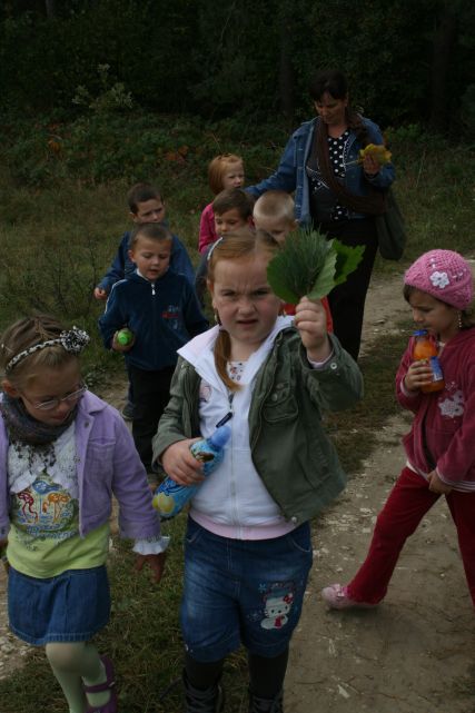 Mamy liście!!!