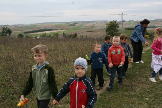 Piękny widok
