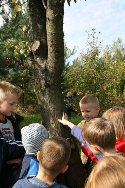 Kora ma ciekawą fakturę