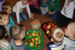 Rozdzielaliśmy jabłka, gruszki i marchewki