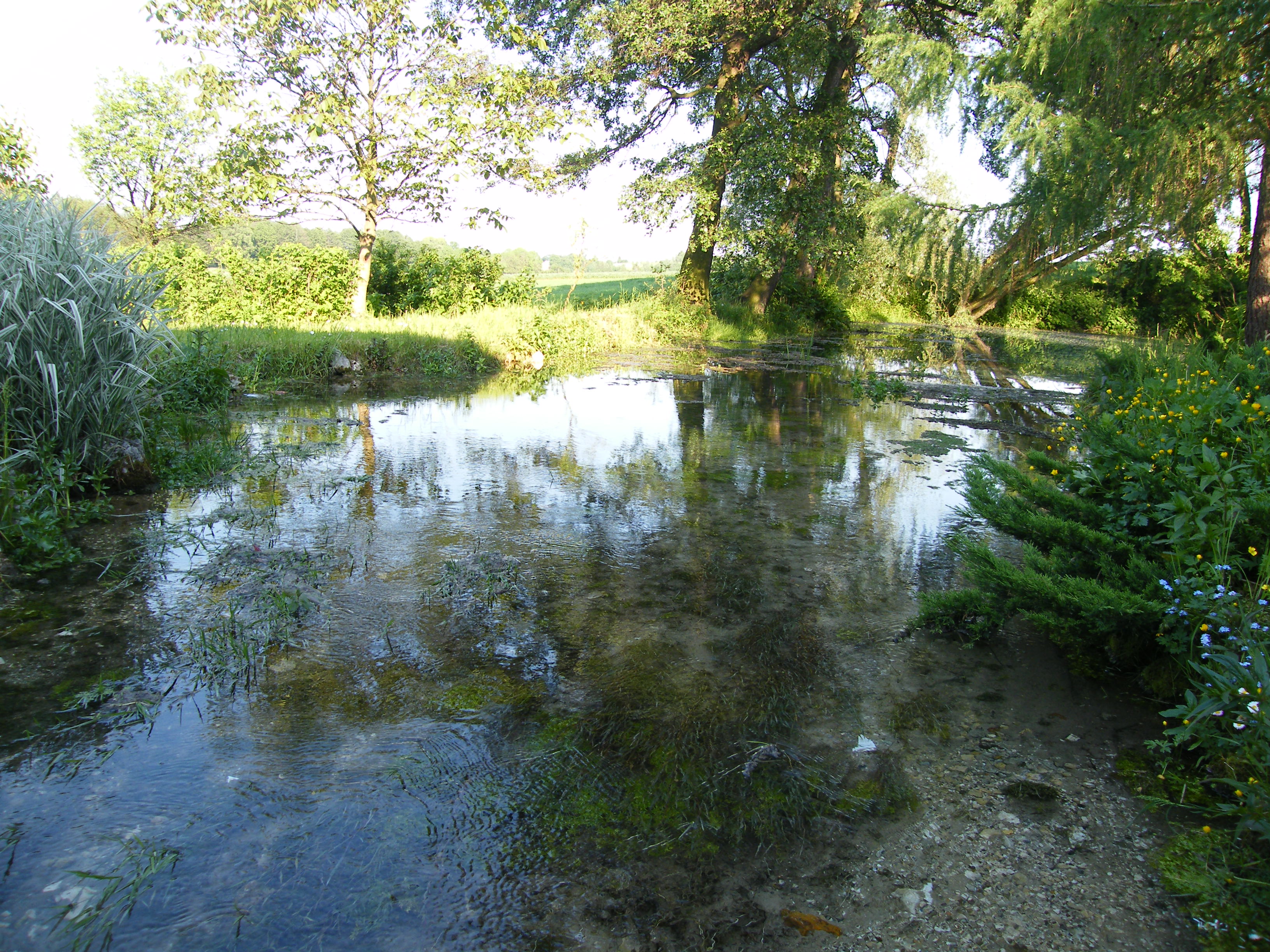 Dłubnia.