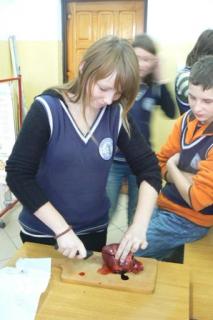 Lekcja Biologii