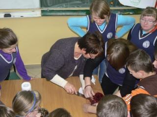 Lekcja Biologii II