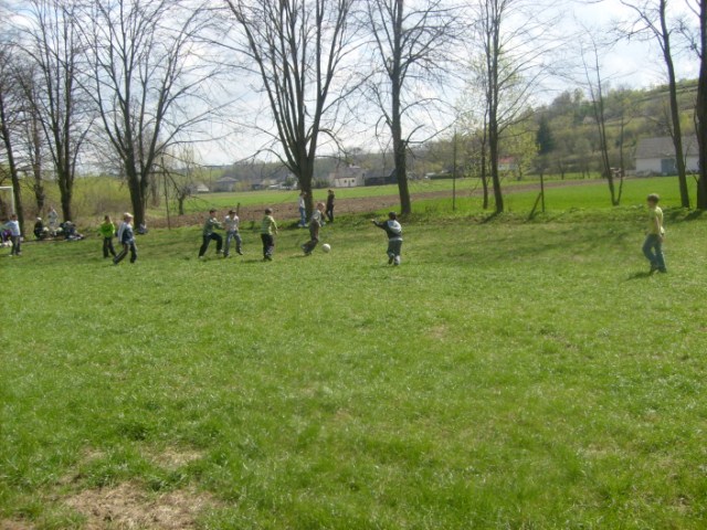 Wycieczka do lasu (9)