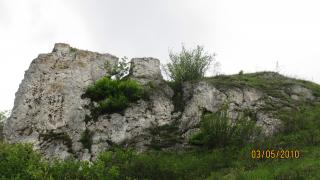 Piknik pod `szczerbatą` skałą