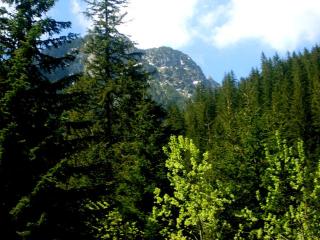 Tatry z żył moich wyprute, Tatry zdjęte z chmur.