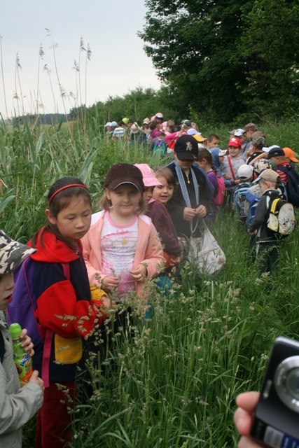 Przemierzamy wysokie trawy