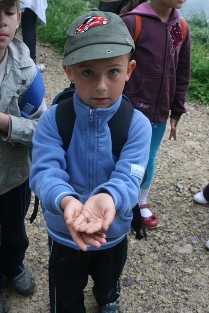 Obserwatorzy przyrody