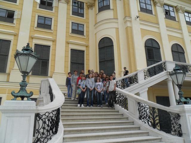 SAM_0135