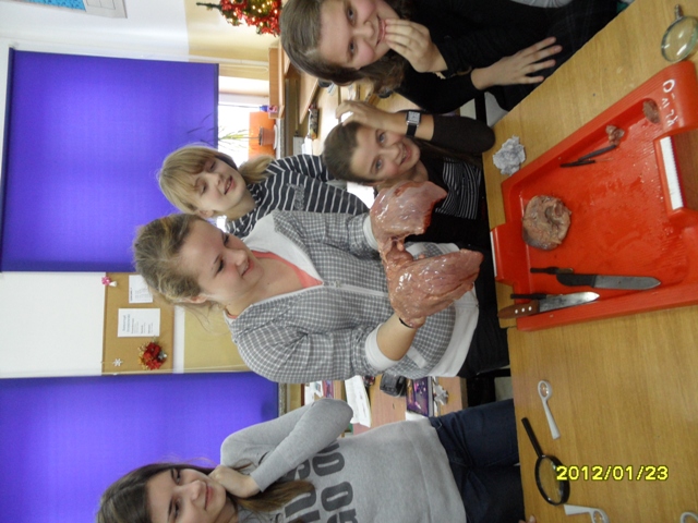 Biologia13