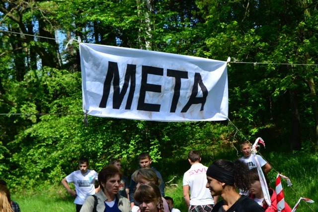 META