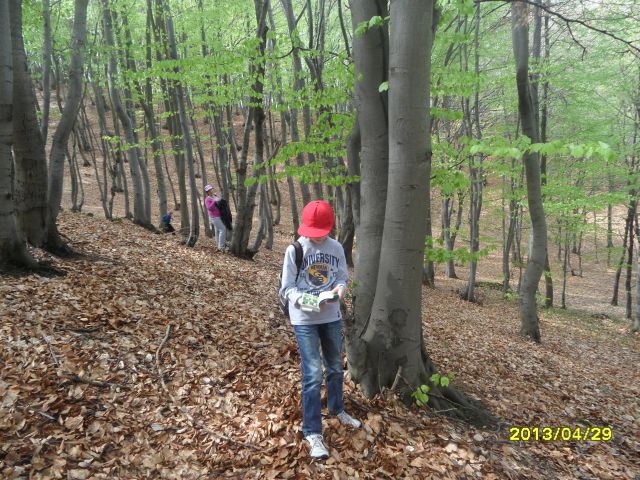 Dolina Białej Przemszy 17