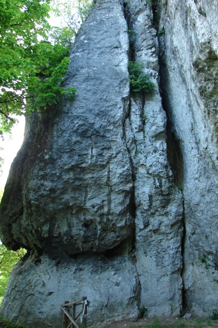 DSC05188