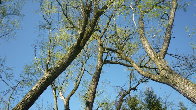 P1110149