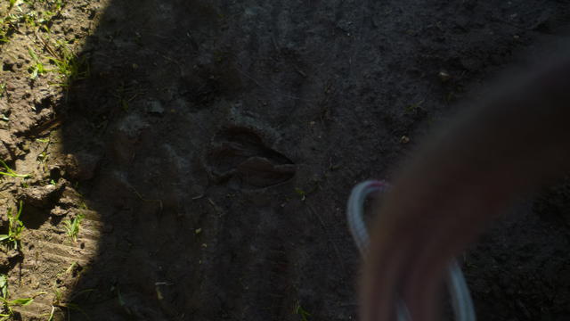 P1110152
