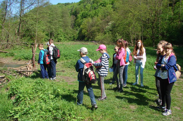 DSC05050