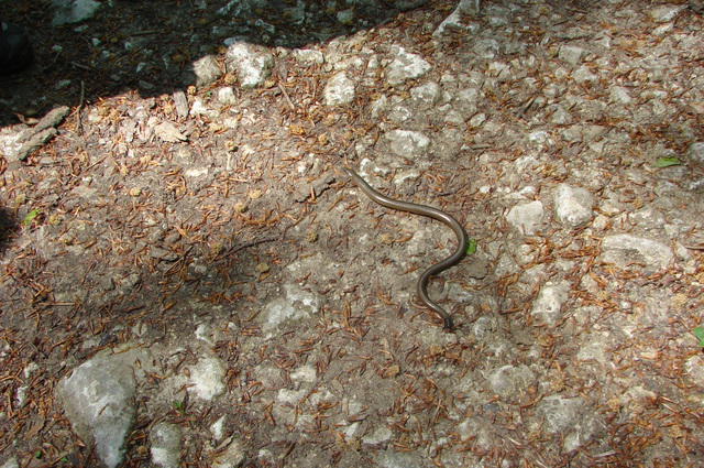 DSC05100