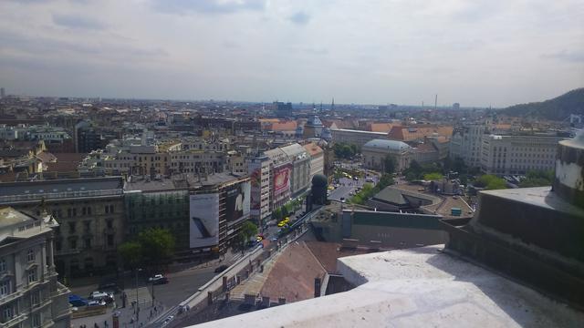 DSC 0100
