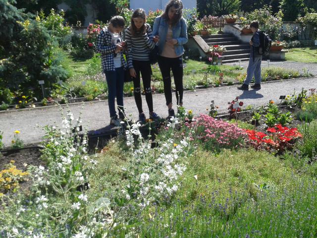 Ogród botaniczny.02