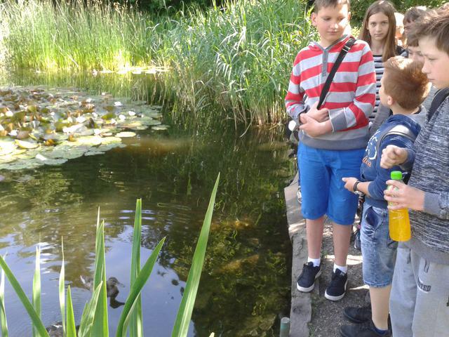 Ogród botaniczny.06