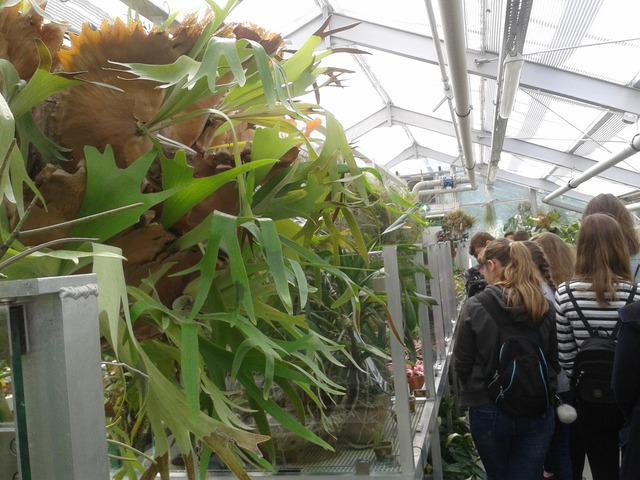 Ogród botaniczny.13