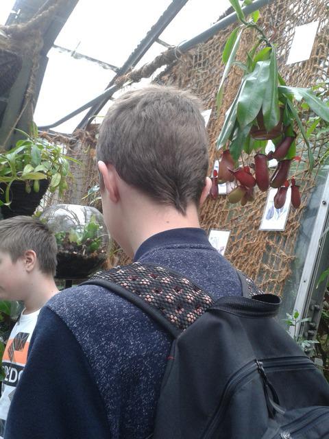 Ogród botaniczny.15