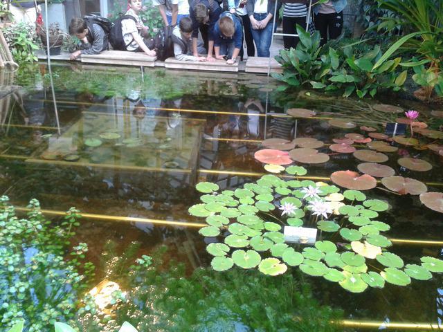 Ogród botaniczny.16
