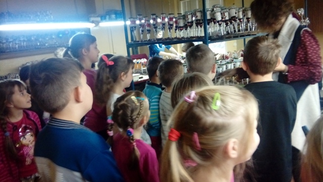 Wyciekczka do fabryki bombek 13