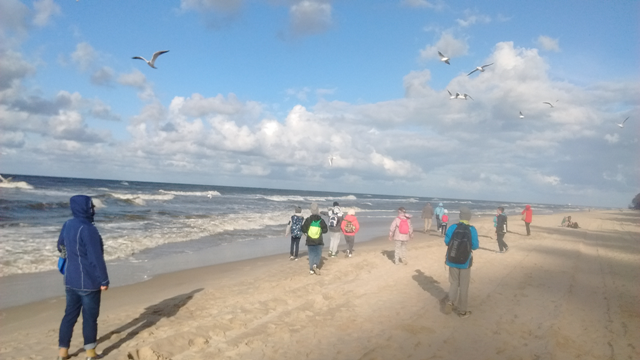 Plaża 11