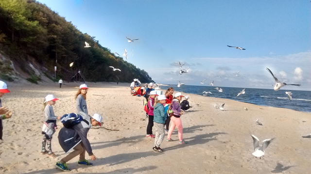 Plaża 14