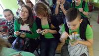 St. Patrick`s Day.24