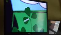 St. Patrick`s Day.33