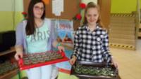 St. Patrick`s Day.34