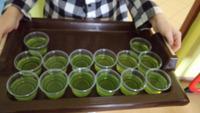 St. Patrick`s Day.36