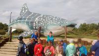 Ocean Park